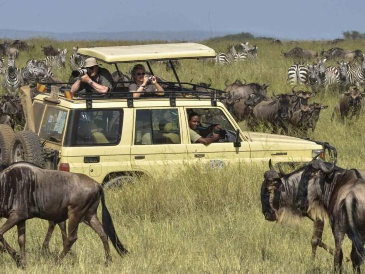 Mount Meru climb + Serengeti safari package