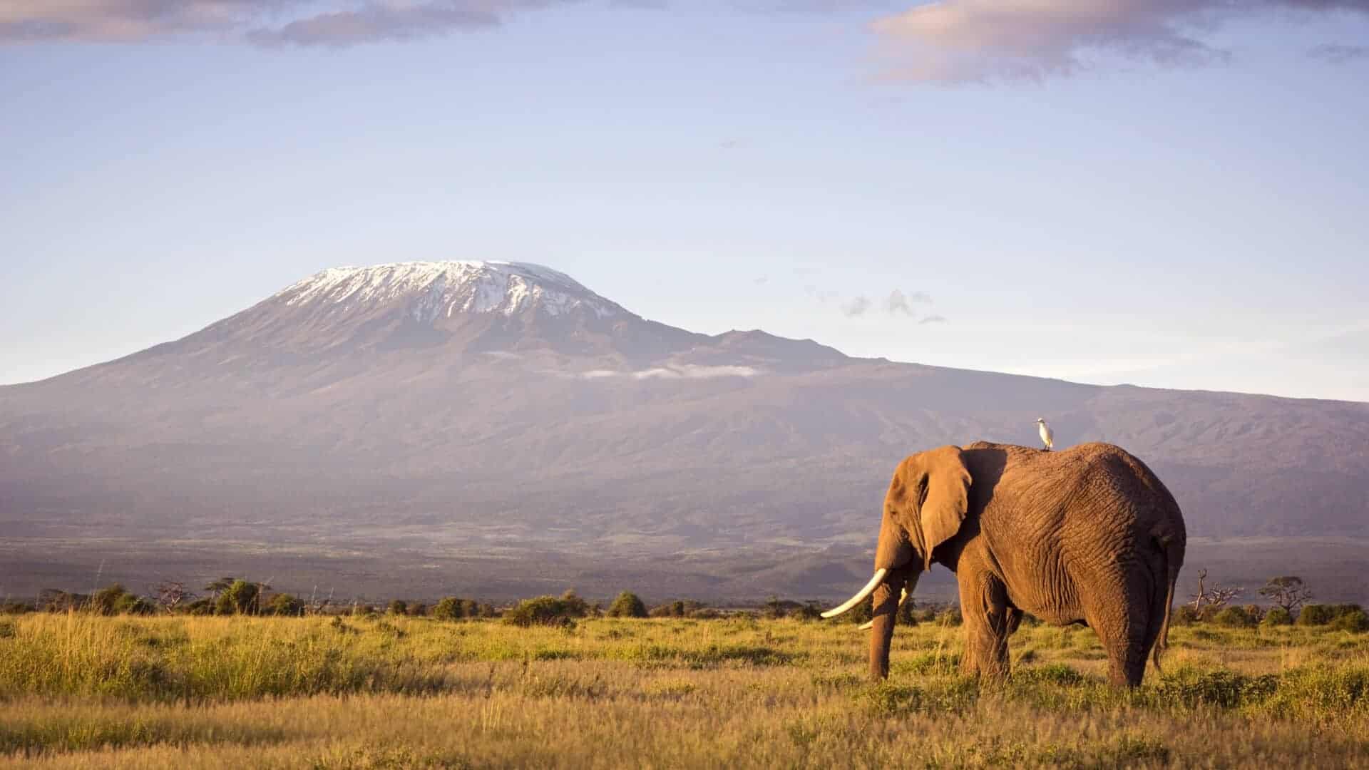 Mount Meru climb + Serengeti safari package