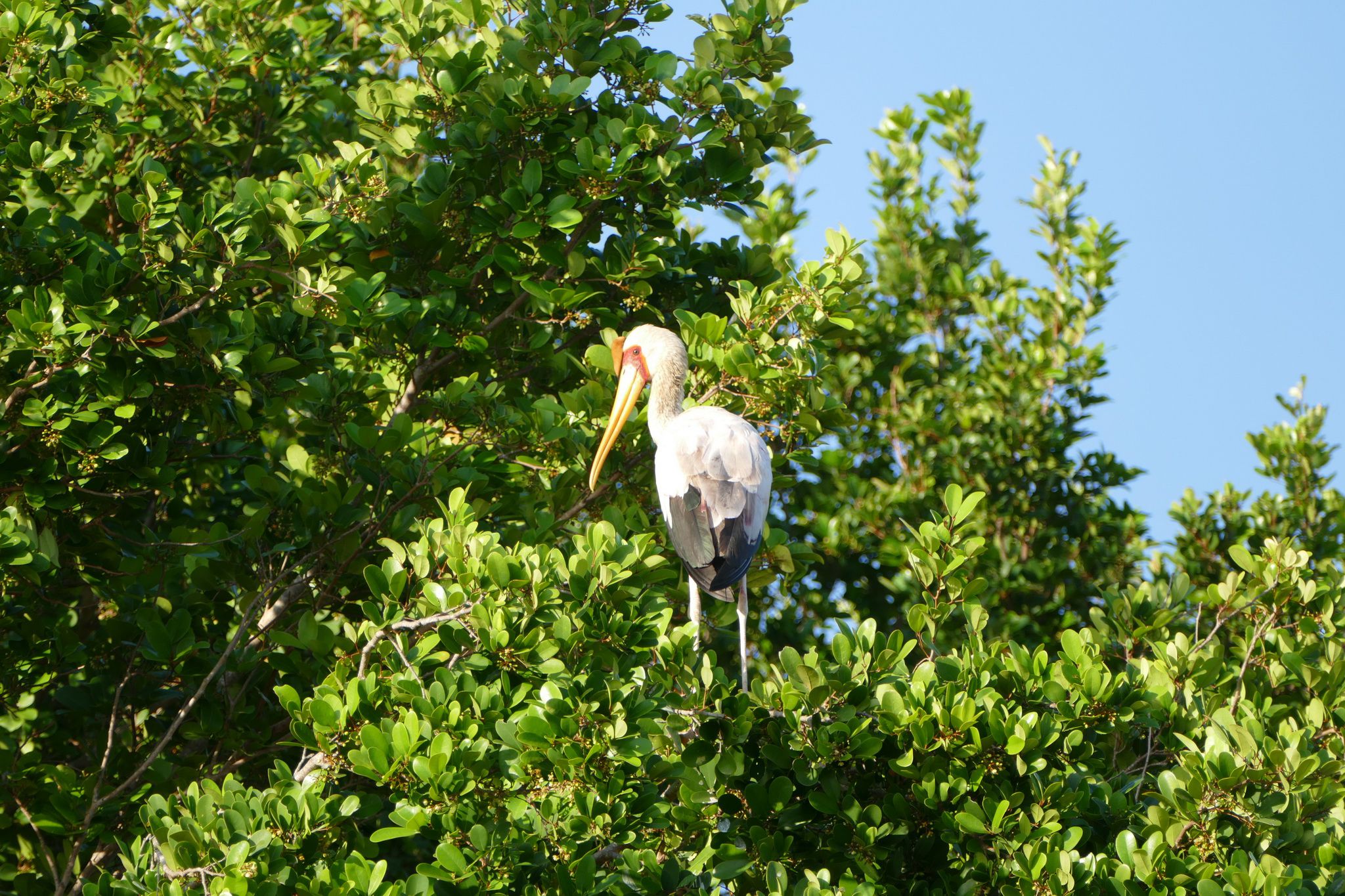 Saanane Island Cultural & Nature Day Trip