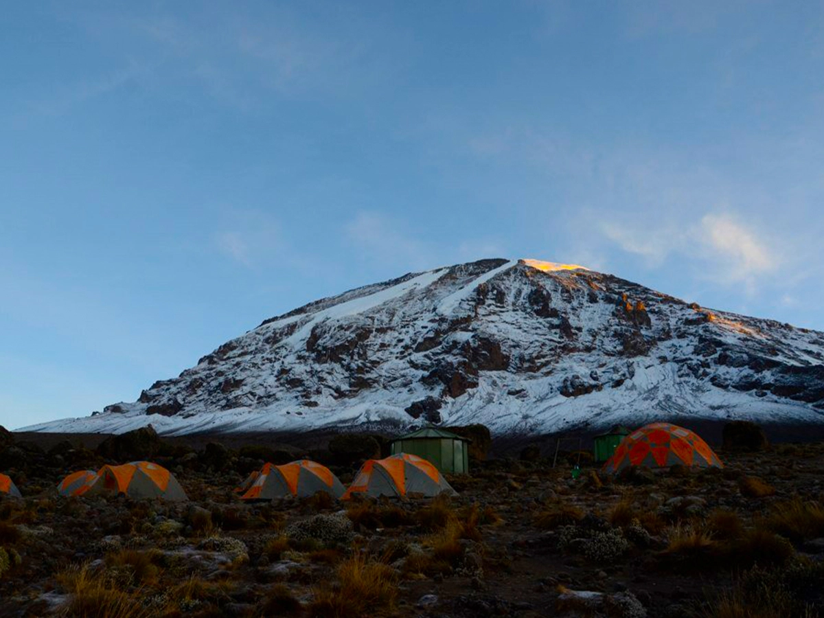 Mweka Route 7-Days Group Tour To Trek Kilimanjaro