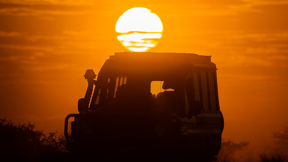 6 Days Mid-Range Serengeti Wildebeest Migration Safari July