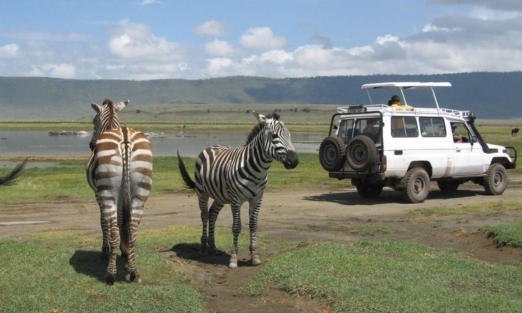 Ngorongoro + Crater Rim Walk