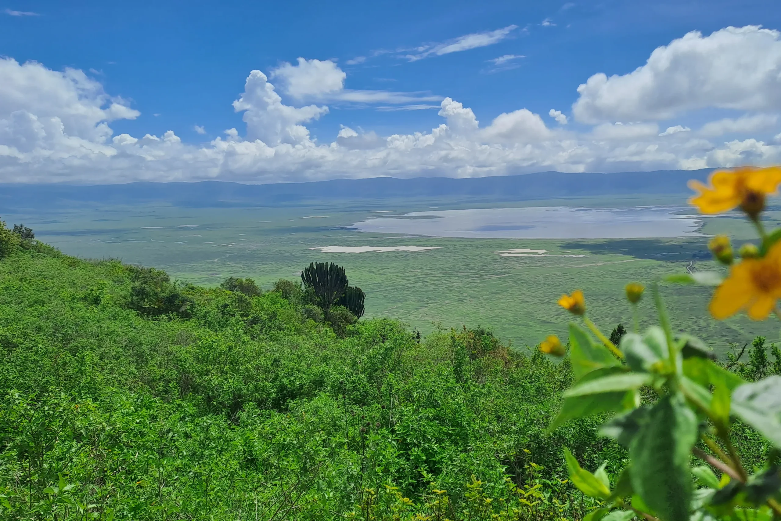 Ngorongoro + Crater Rim Walk
