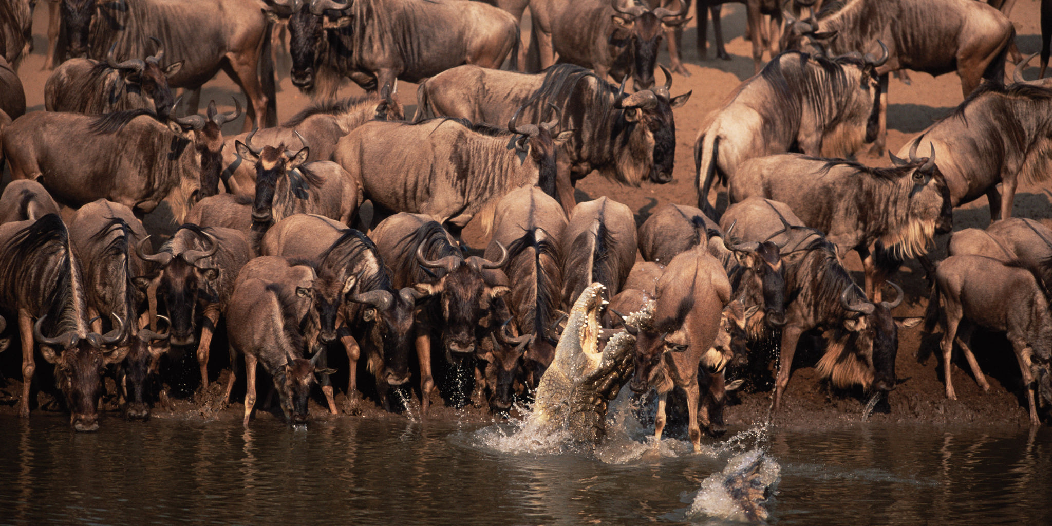 Private Grumeti River Great Migration Safari