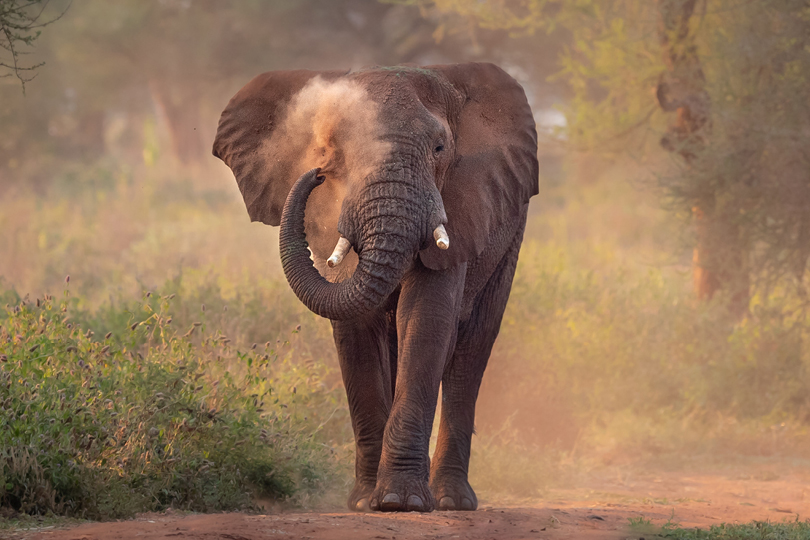 Arusha sightseeing tours 