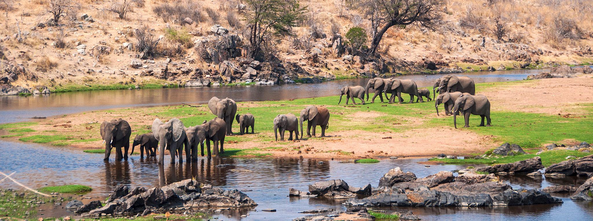 6 Days Luxury Fly-In Safari from Zanzibar to Nyerere & Ruaha National Parks