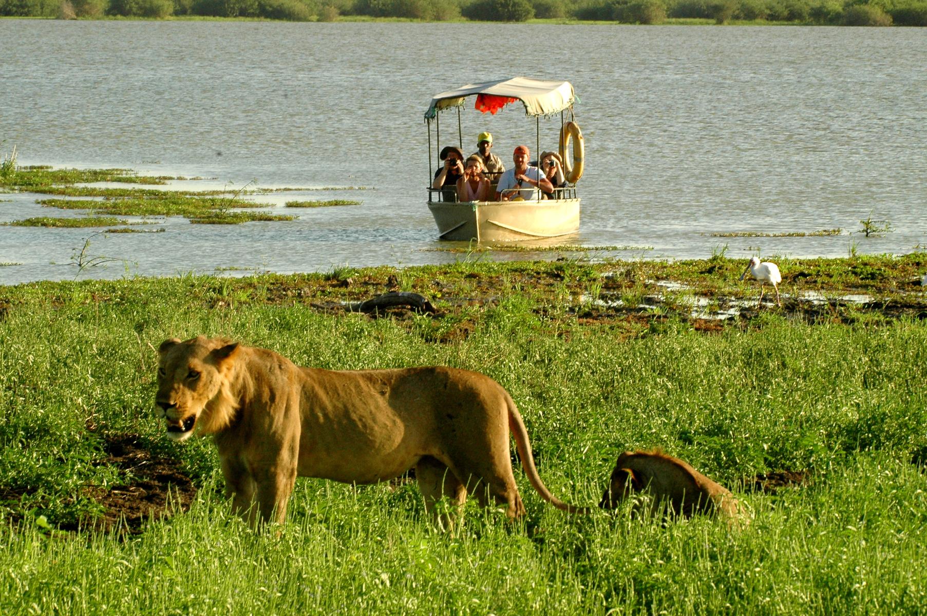 Safari + Boat Ride in Selous