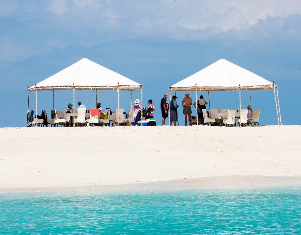 1 Day Private Safari Blue Tour Zanzibar 