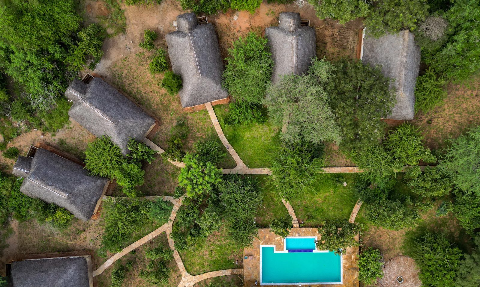 Luxury Kilimanjaro + Selous Safari Combo