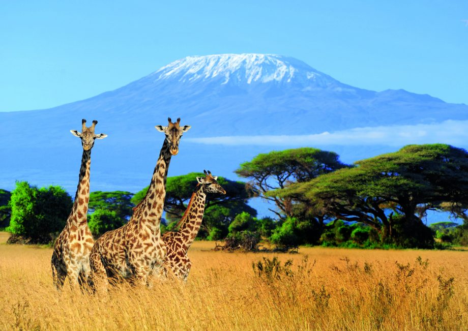 17 Days Ultimate Serengeti Migration Safari and Kilimanjaro Package