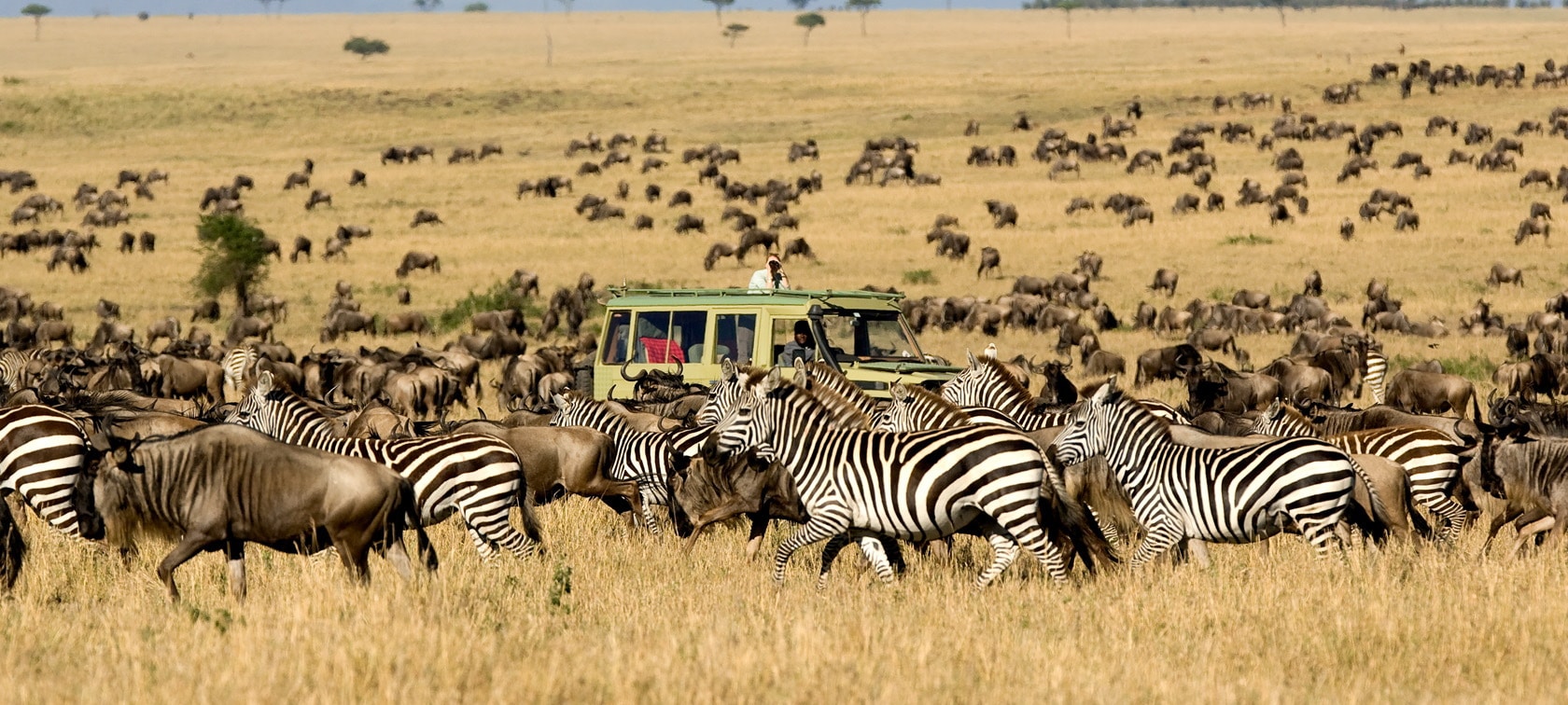 Serengeti Great Migration luxury safari 2026