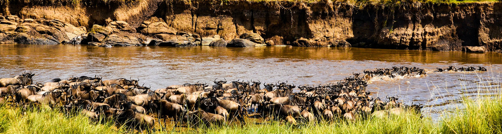Serengeti Great Migration luxury safari 2026