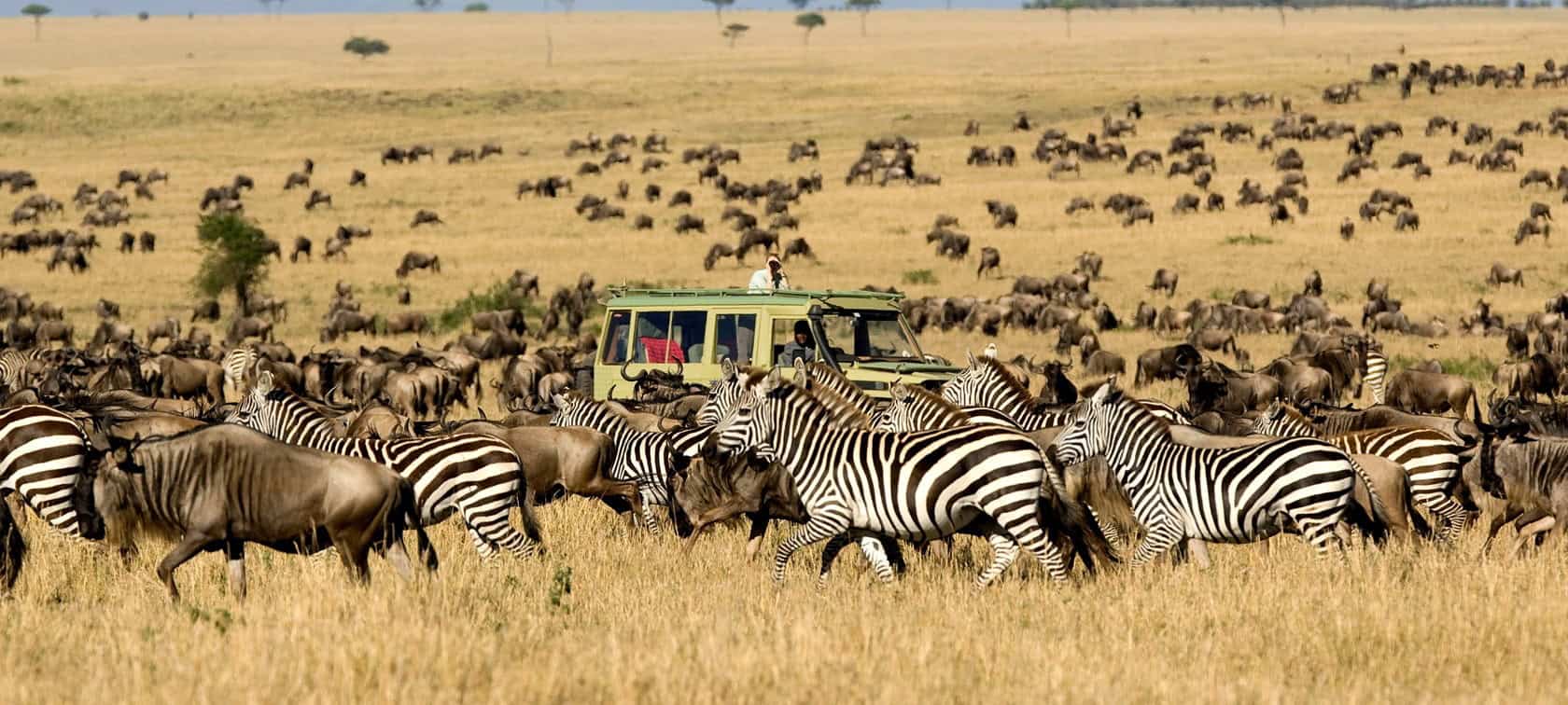 5 Days Serengeti Migration Safari Packag
