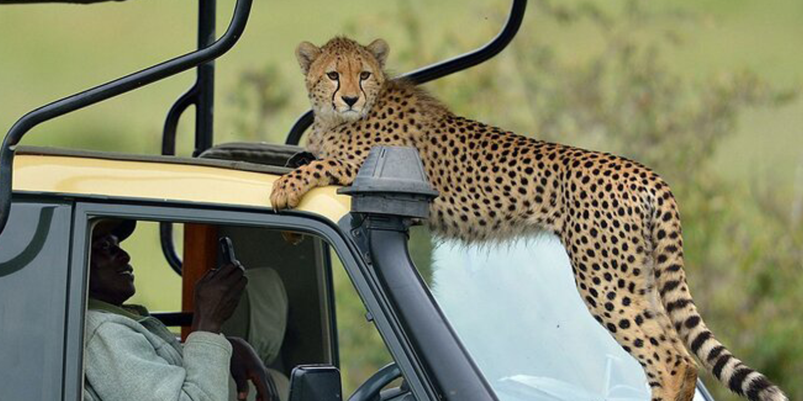 Tanzania June Safari Price Guide | 2027 Safari Costs & Packages