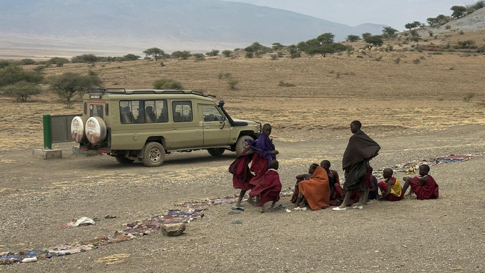 Plan Your Tanzania Safari 2026–2027 – Best Time, Prices & Packages