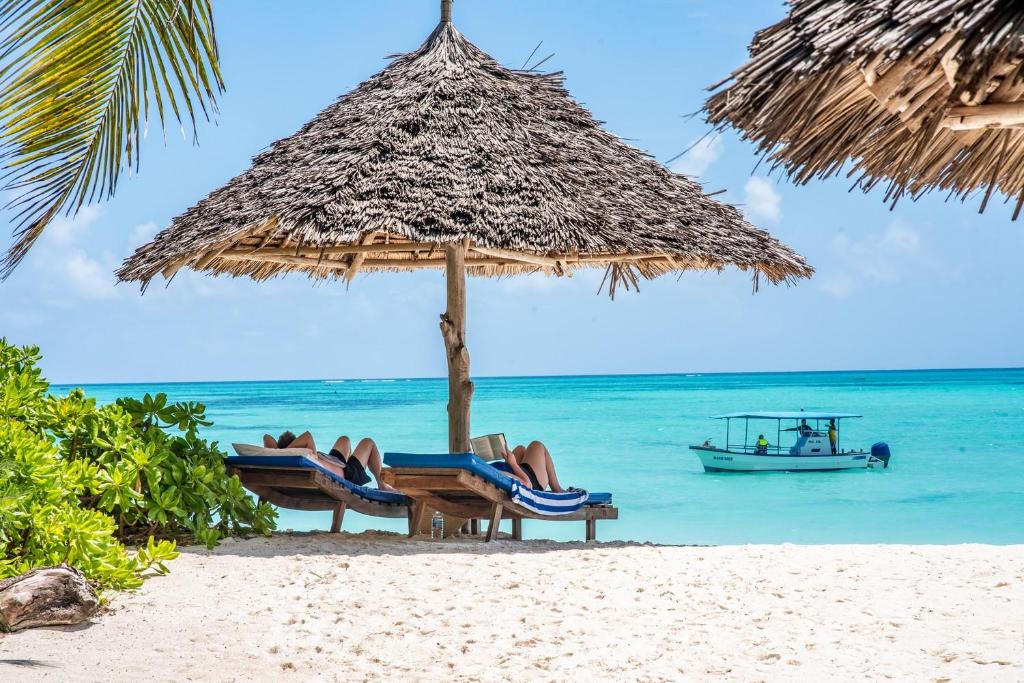 12-Day Tanzania Safari & Zanzibar Beach Holiday