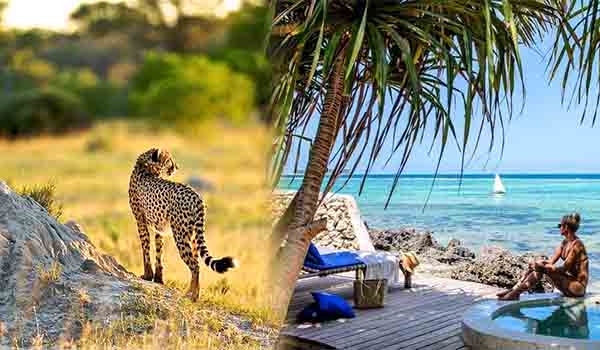 Luxury Kilimanjaro & Safari Holiday Packages