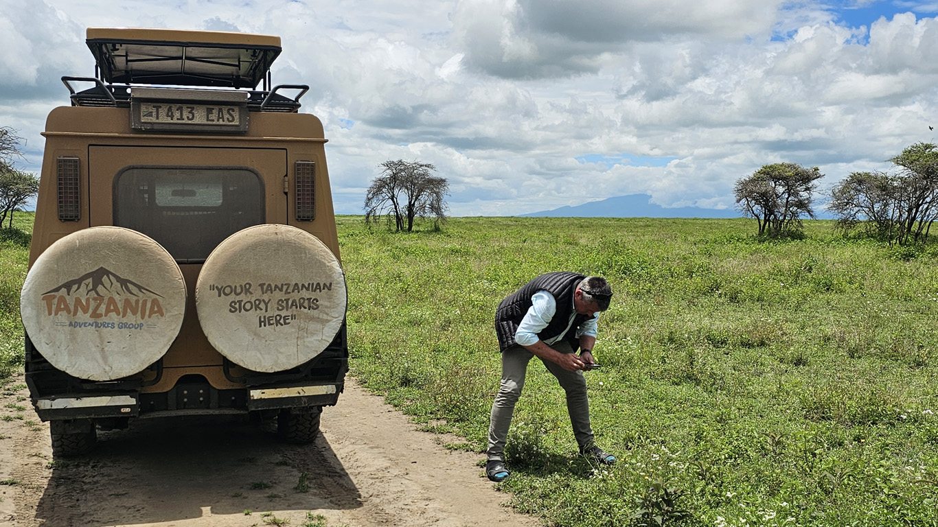 Tanzania Safari in September Tours