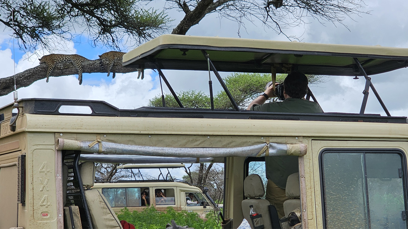 3 Days Tanzania Safari Package from Airport