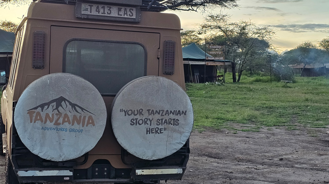 Best Tanzania Safari Packages from Kilimanjaro Airport
