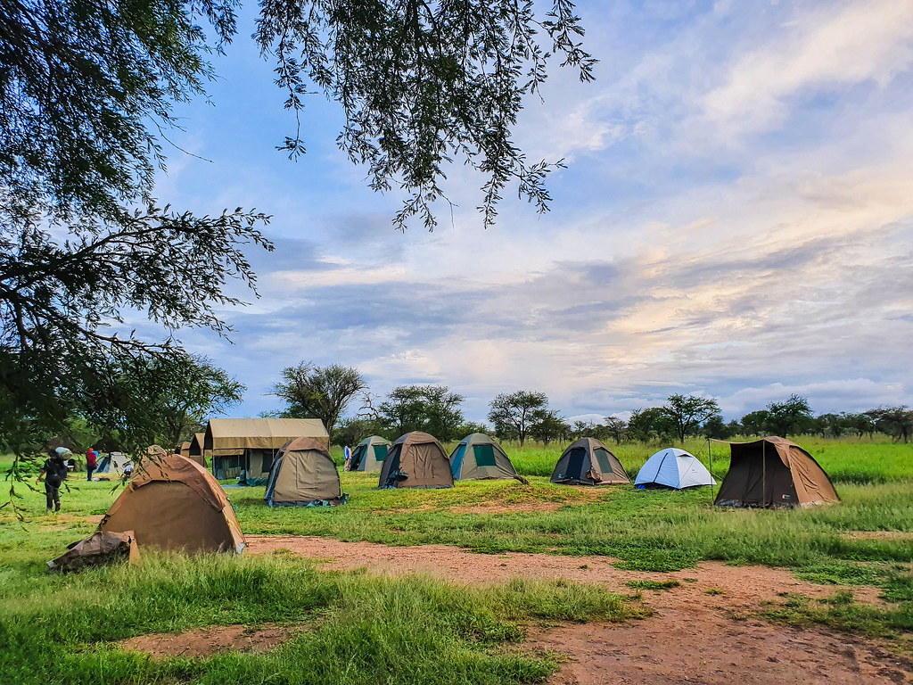 Tanzania budget group safari 2026 Tanzania budget group safari 2026