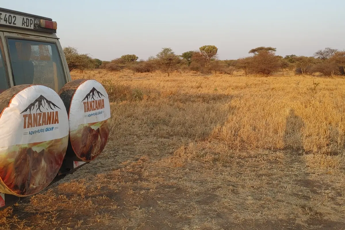 Luxury Safari & Kilimanjaro Trek