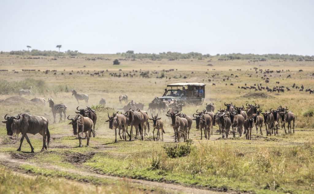 The Best 10-Days Serengeti Migration Safari Tanzania 