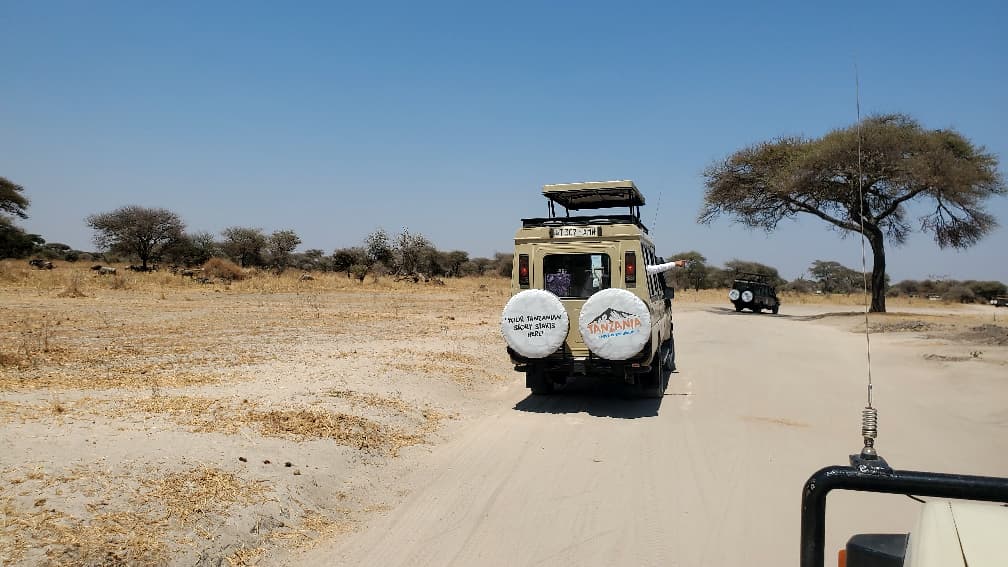 Serengeti Great Migration luxury safari 2026