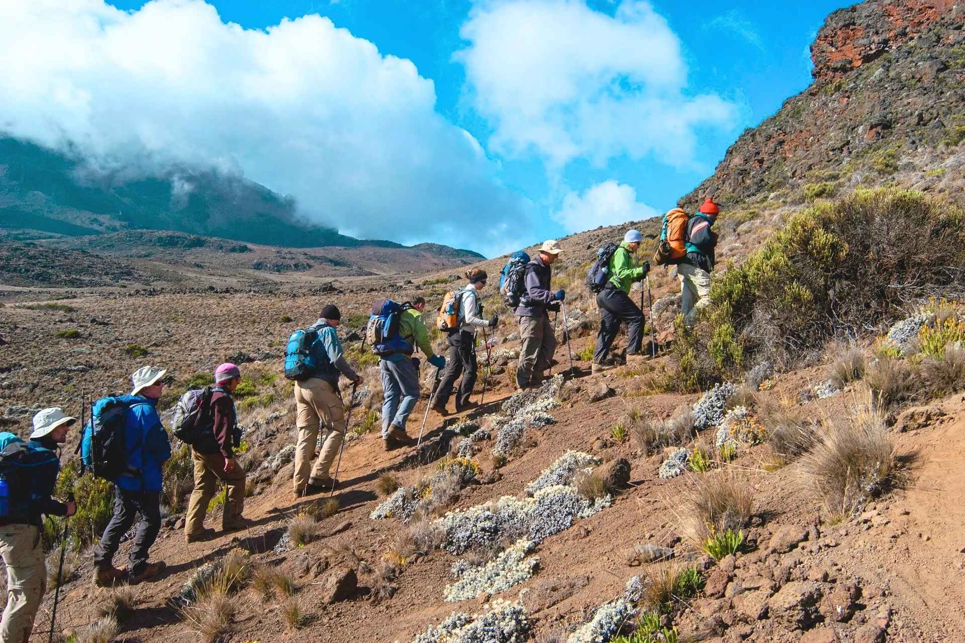 All-inclusive Kilimanjaro climb & safari combo