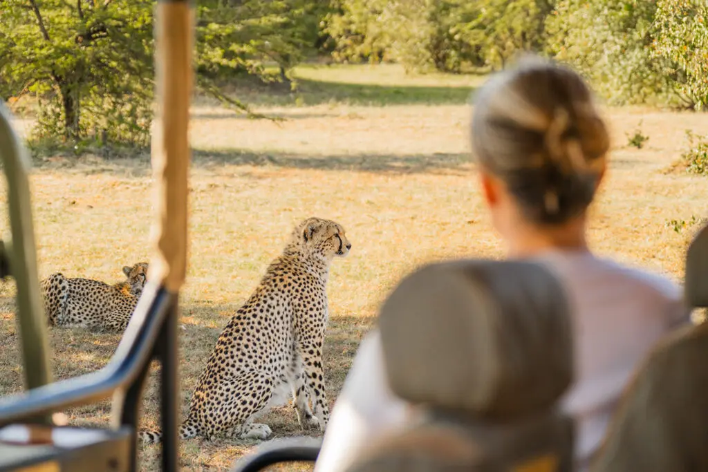All-Inclusive Luxury Kilimanjaro & Safari Tours