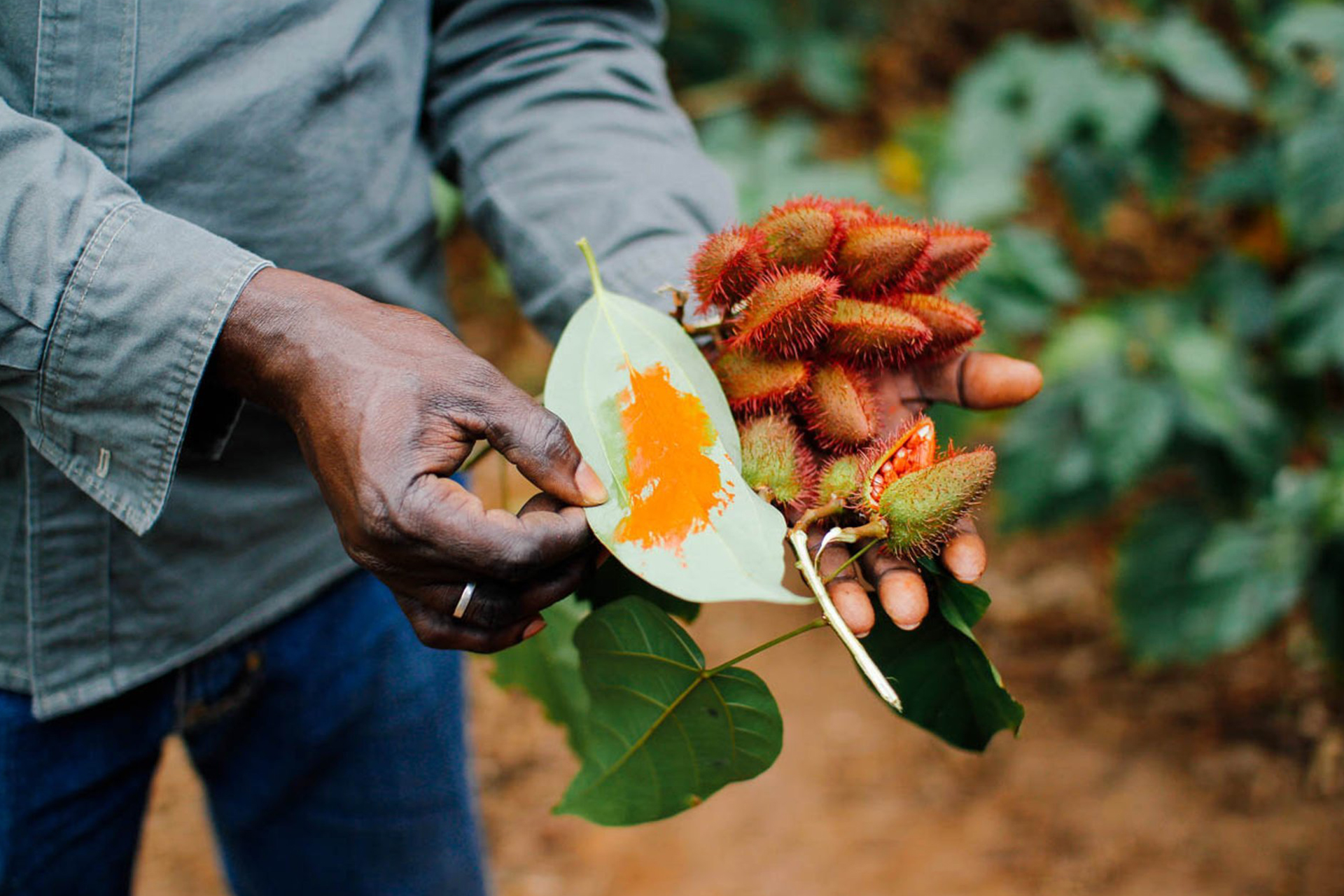 Spice Farm & Market Tour