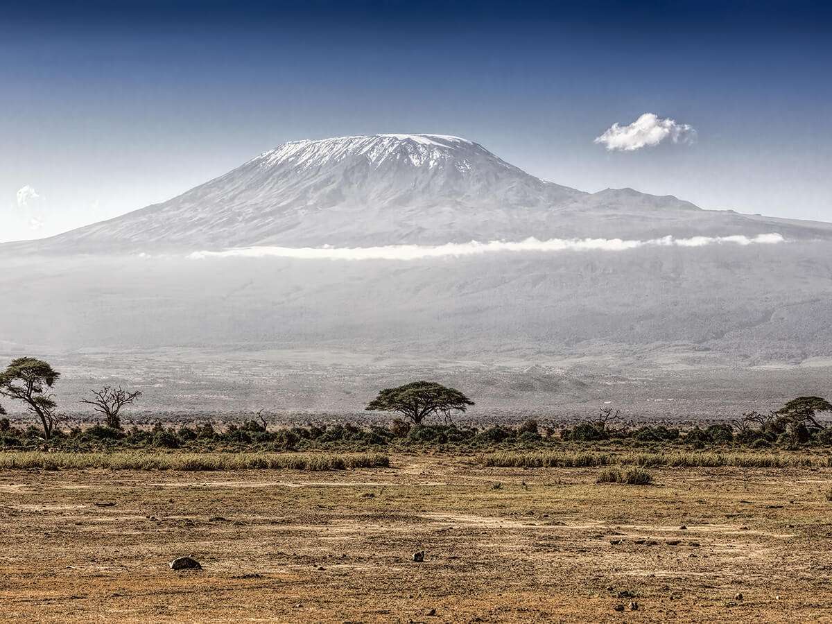 Kilimanjaro climb & safari package