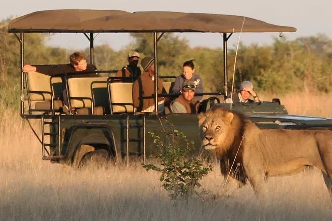 2 Days Game Drive & Boat Safari from Zanzibar 2 Days Game Drive & Boat Safari from Zanzibar