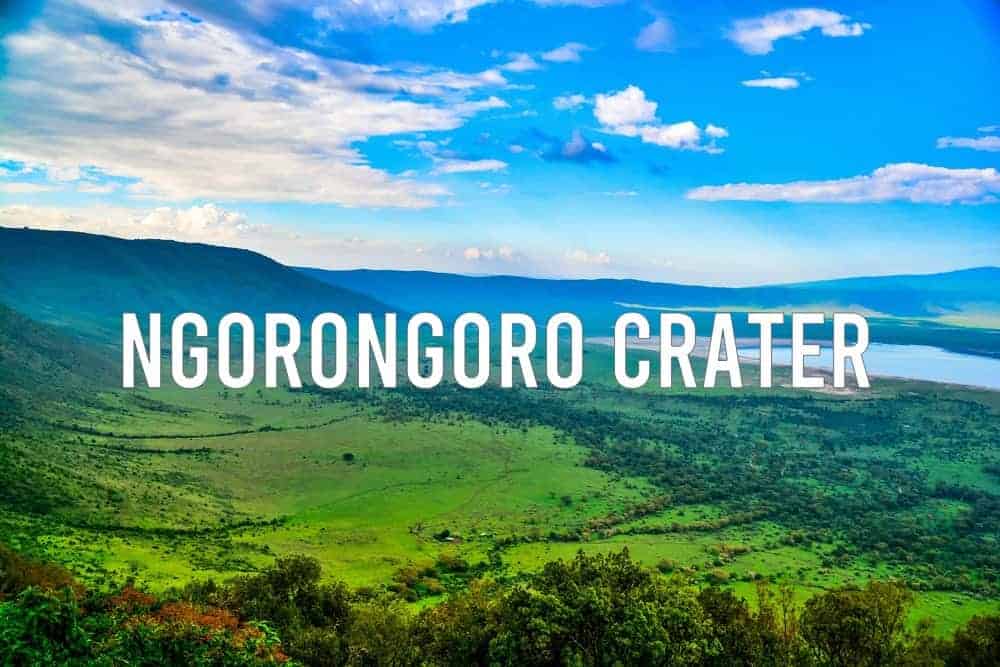 Luxury Ngorongoro Crater & Kilimanjaro Trek