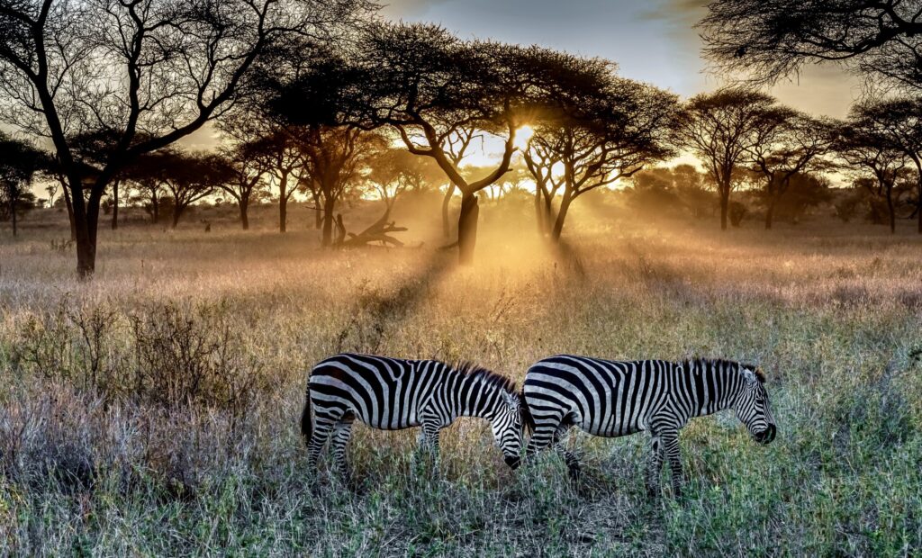 LGBTQ+ friendly safaris Kenya 2027