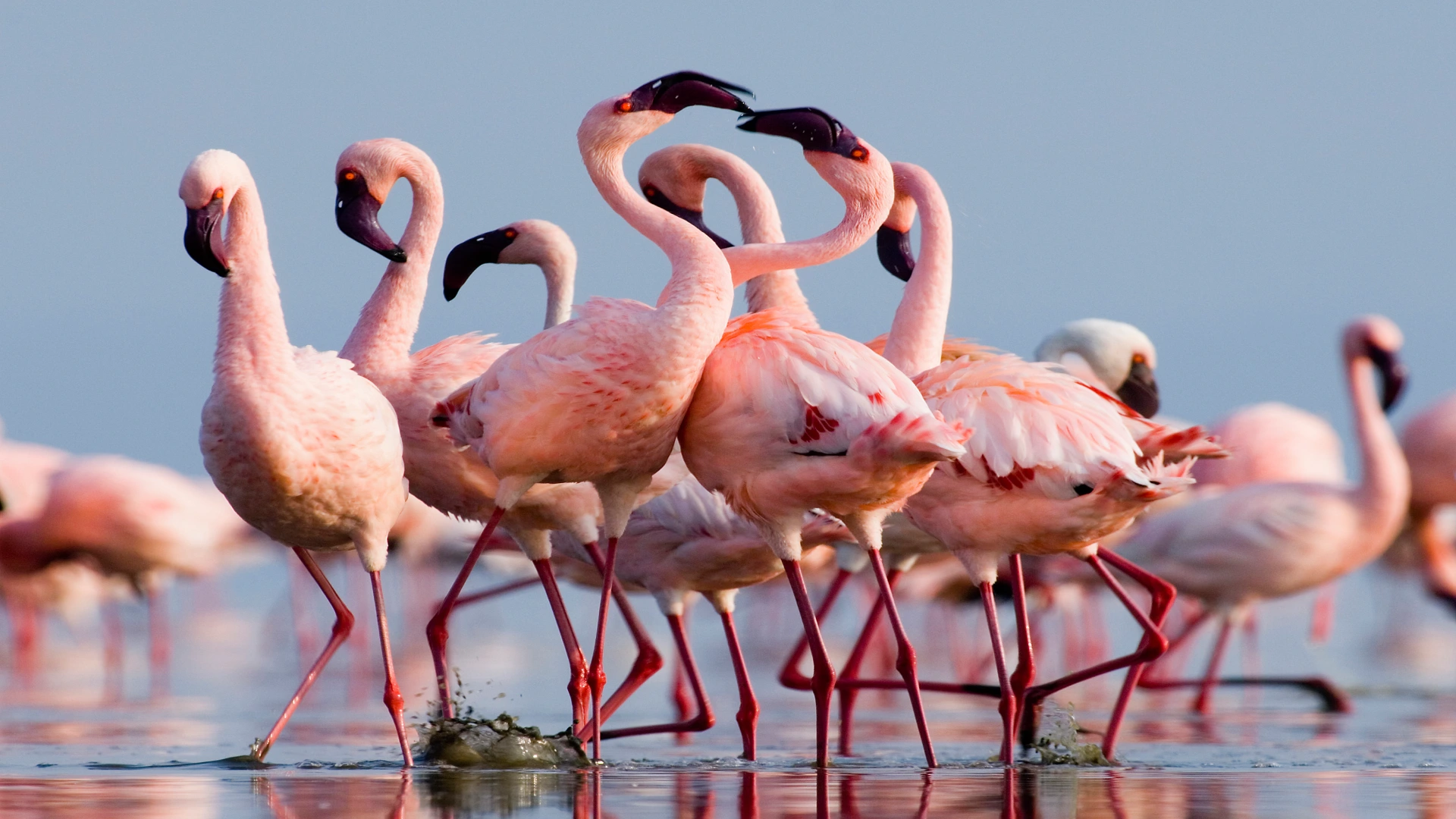 Lake Natron best time to visit