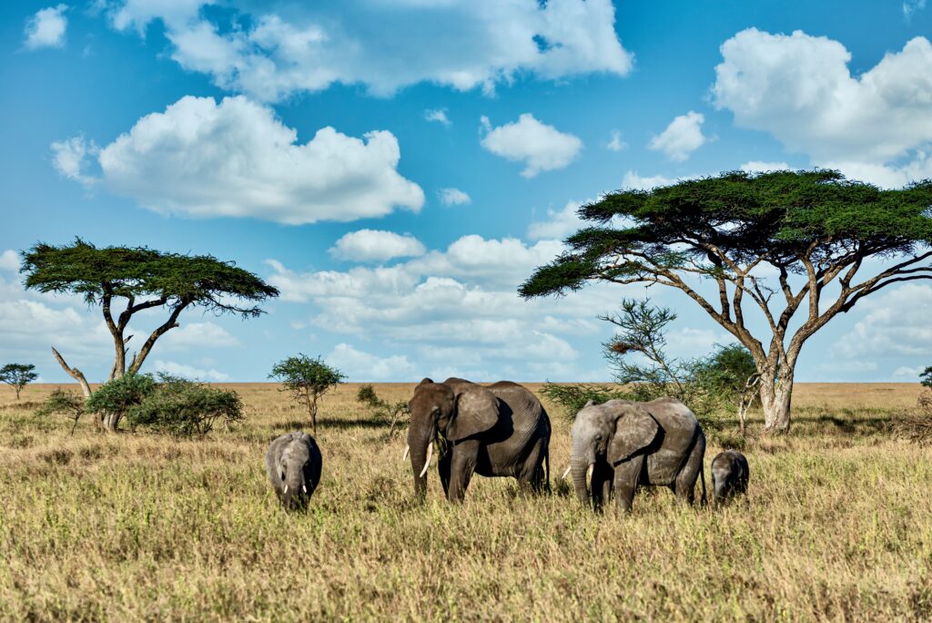LGBTQ+ friendly safaris Kenya 2027