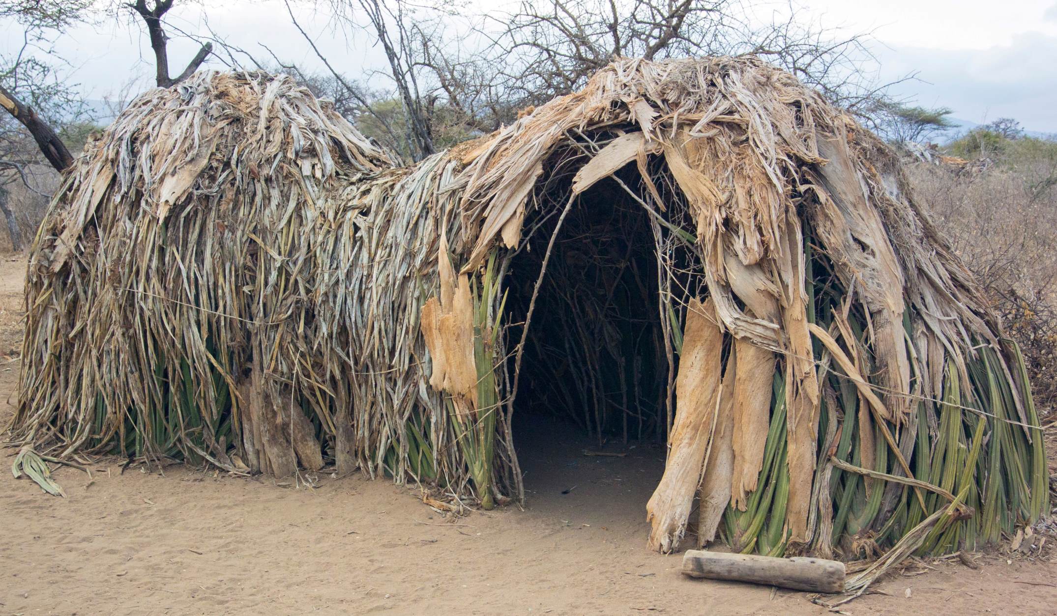 Hadzabe Hunting + Lake Eyasi Viewing