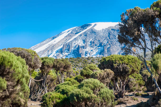 Kilimanjaro climb & safari holidays