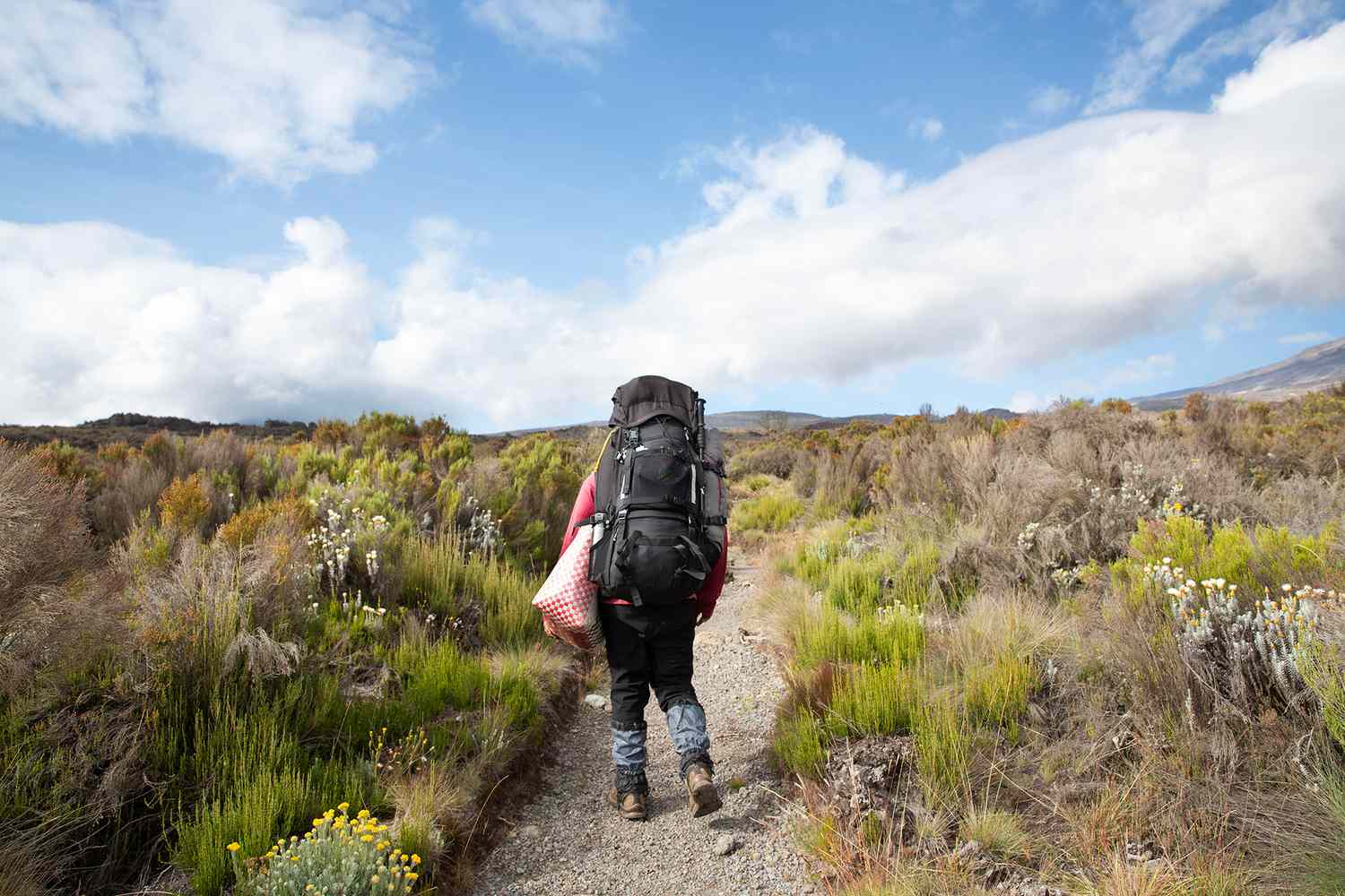 Affordable Kilimanjaro Safari & Group Climb