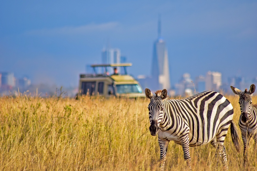 Nairobi National Park + Maasai Mara combo 2026