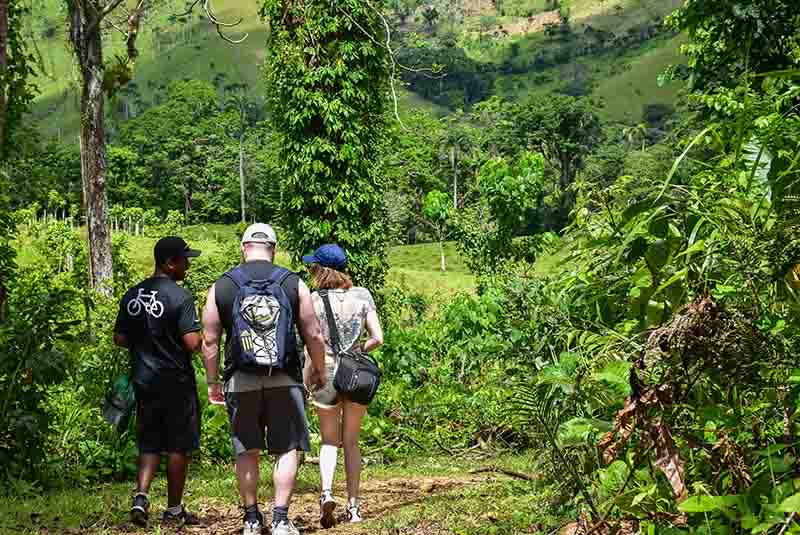 14 Days Grand Tanzania Wildlife & Coast Adventure