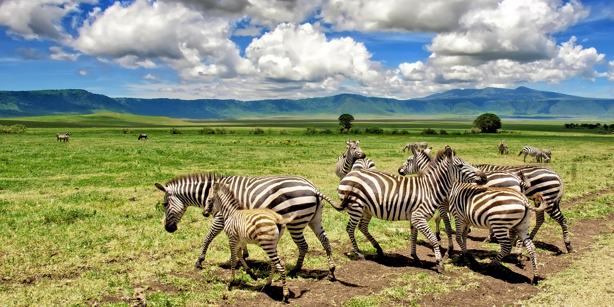 Luxury Kilimanjaro & Safari Honeymoon