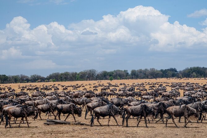 12 Days Northern Migration Safari and Ol Doinyo Lengai Trekking