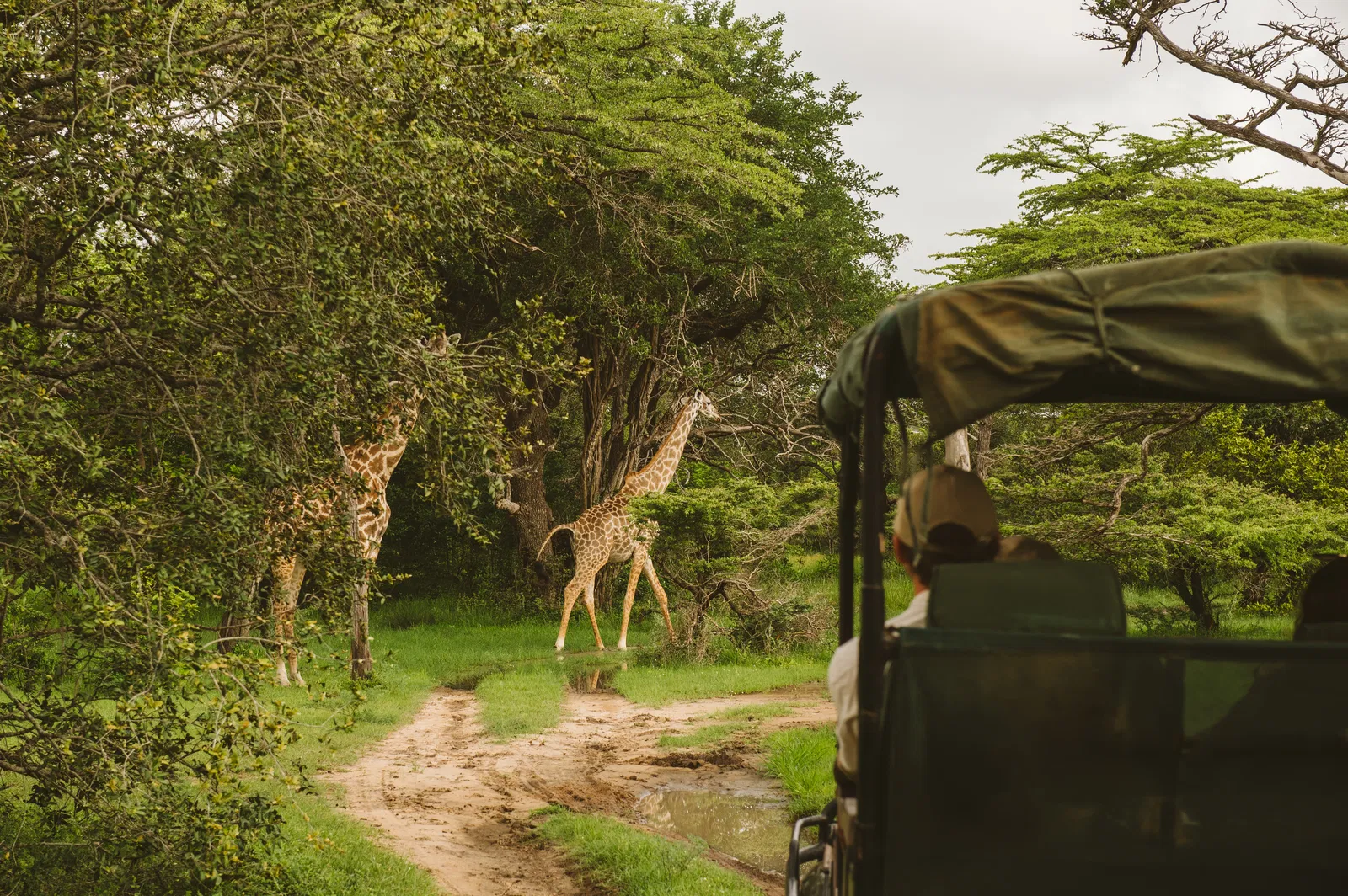 2 Days Game Drive & Boat Safari from Zanzibar