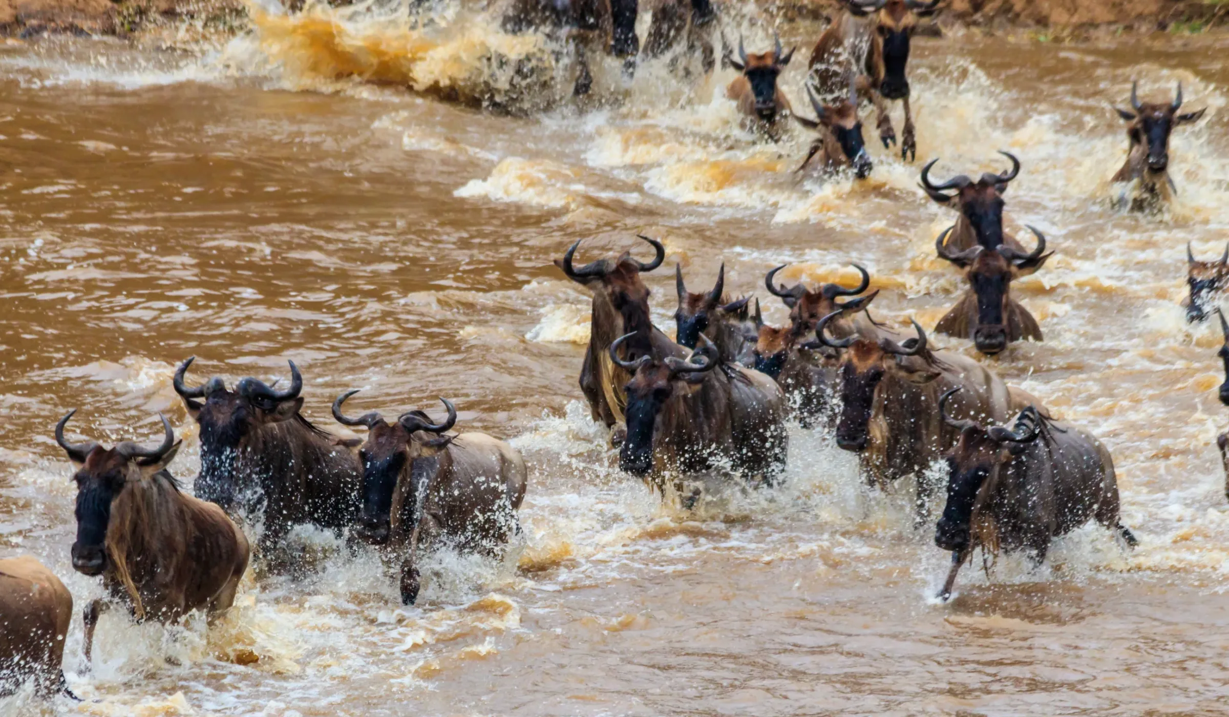 Best month for serengeti river crossing