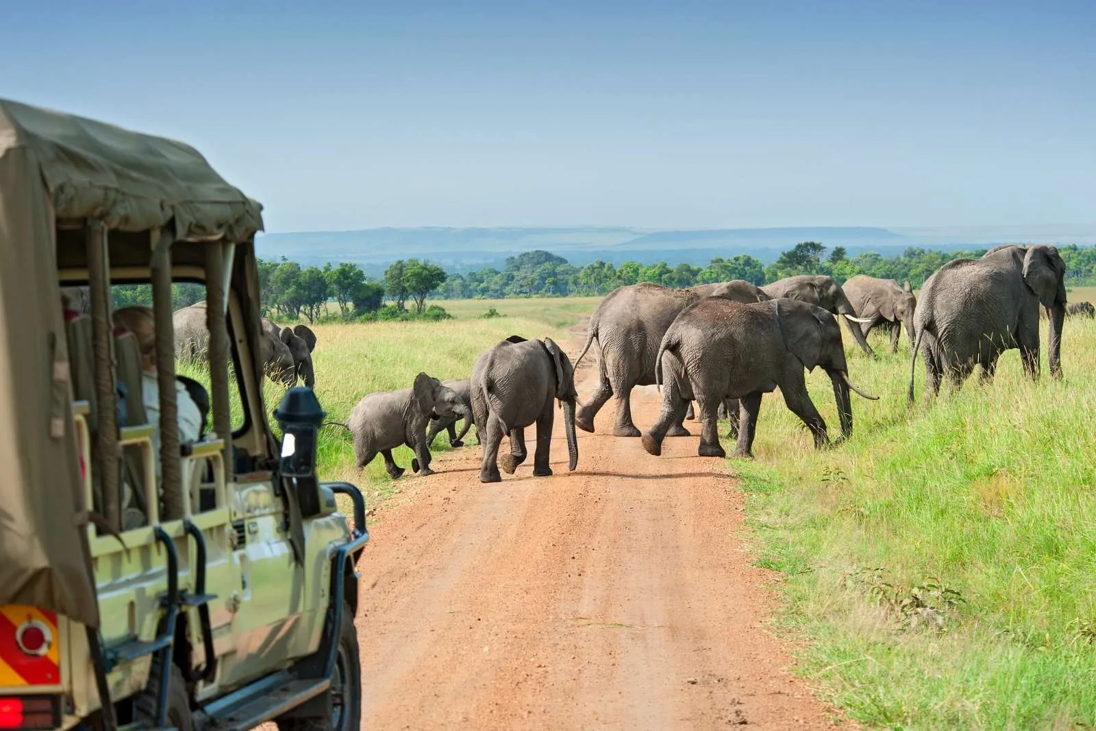 5 Days Selous Game Reserve & Mikumi Combo Safari