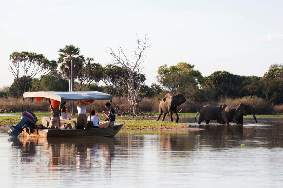 2 Days Game Drive & Boat Safari from Zanzibar