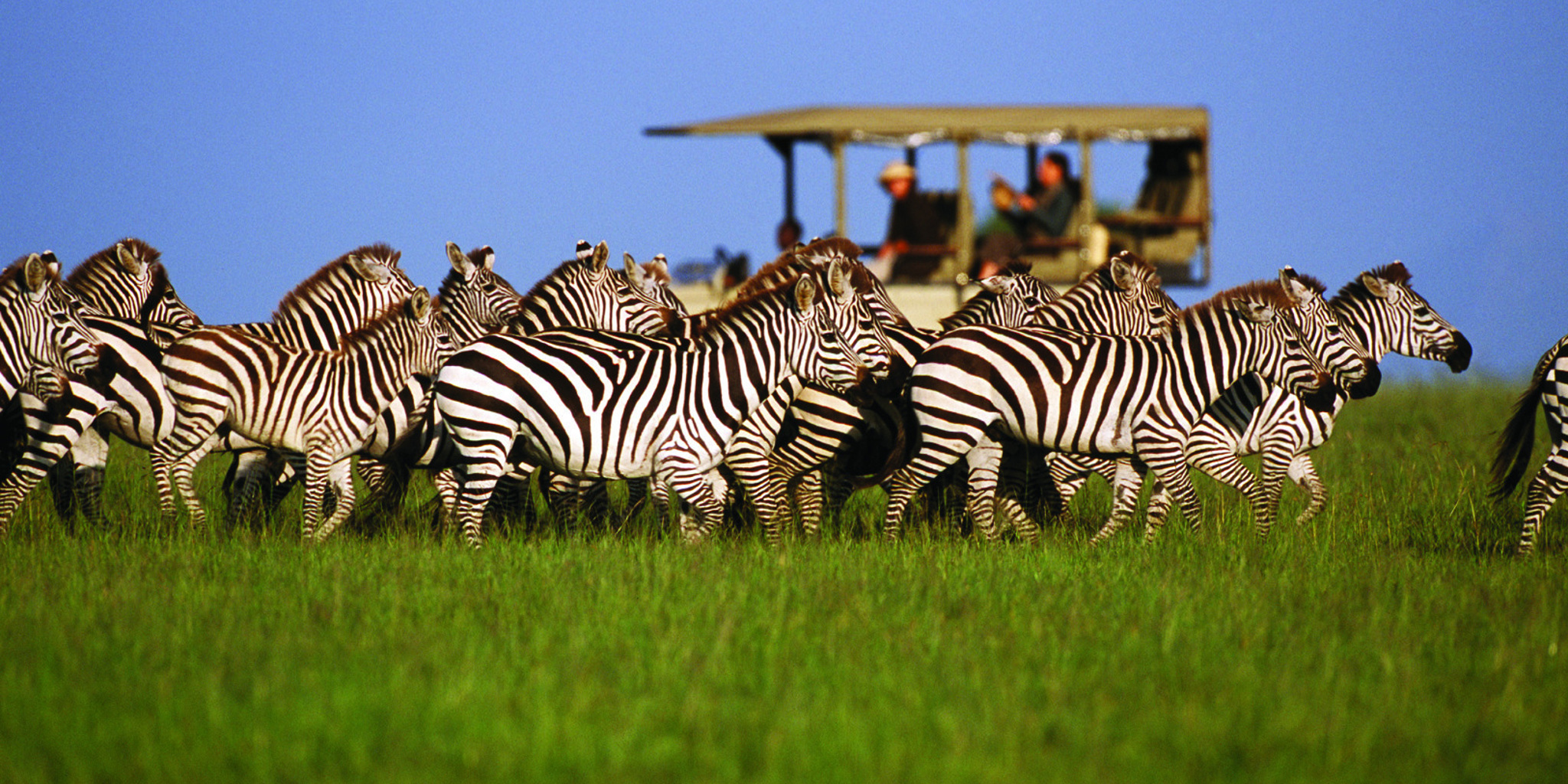Lake Natron unique natural attractions