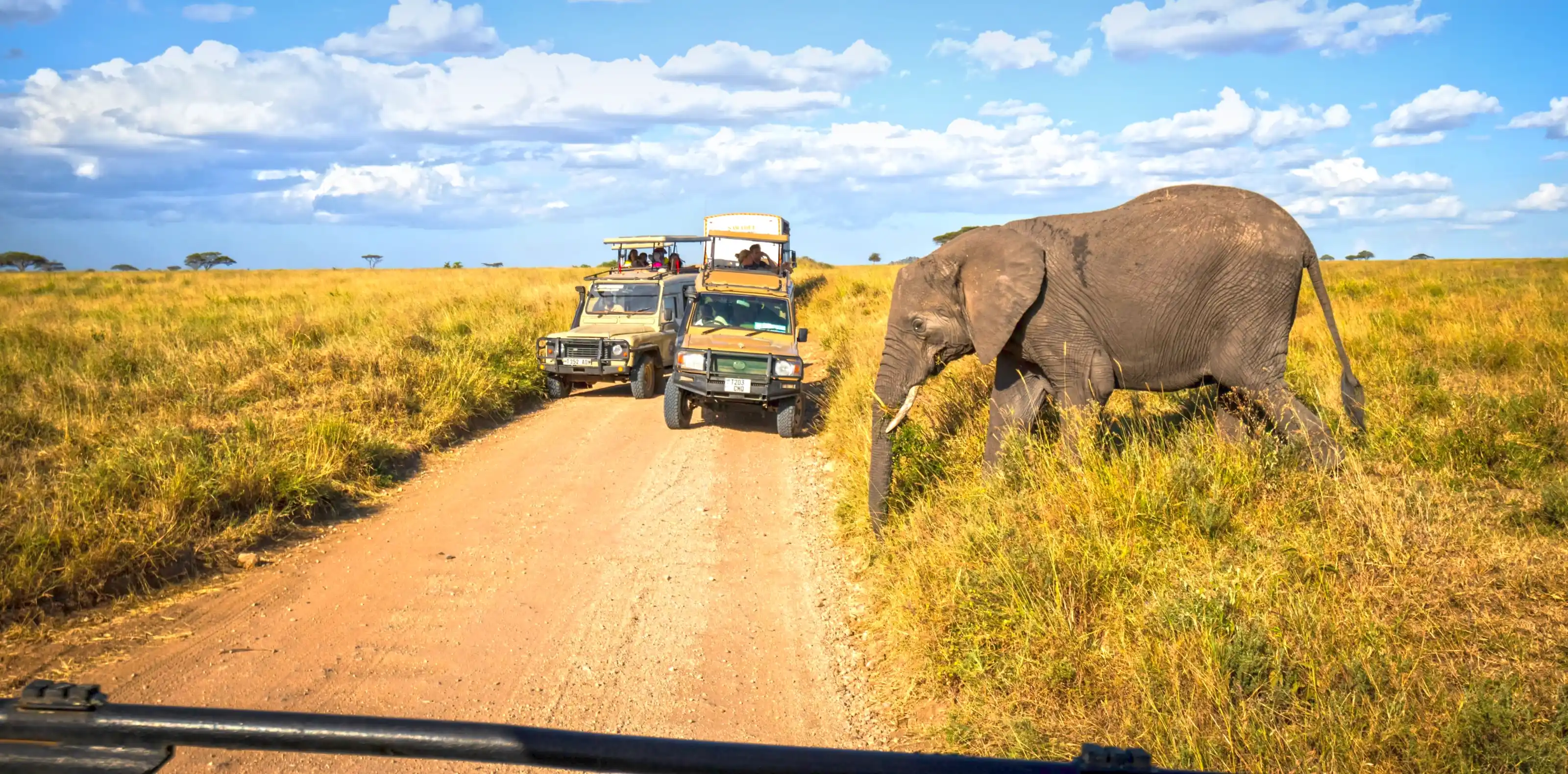 Tailor-made Tanzania luxury safari tours Tailor-made Tanzania luxury safari tours